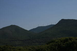 img_3769.jpg